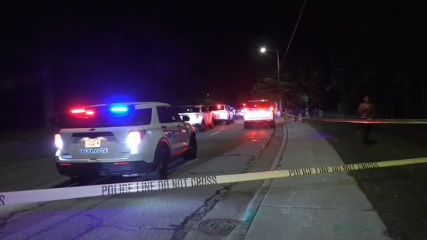 Read more about the article Avery Newman, 36, Man Killed in a Tragic Car Accident in Los Angeles